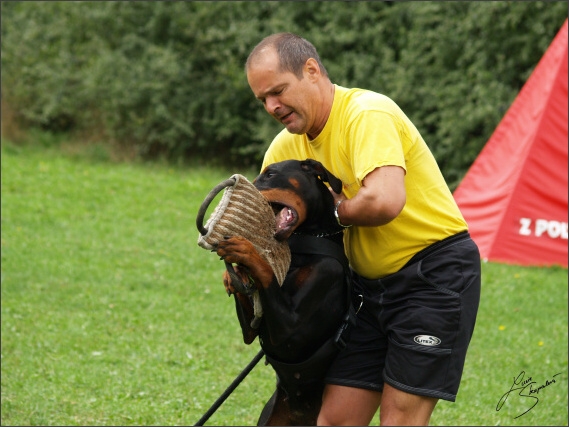 Summer training camp - Jelenec - 2007